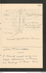 Seite 15, Tagebuch "Abschrift: | Krems | Paläolithikum | 1930" (NHMW-PRAE-BBB-58)